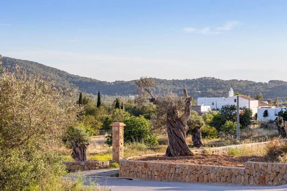 New area in Santa Agnes!